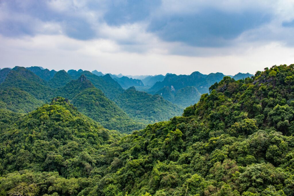 A vivid aerial view of a green mountain range with dense forest under a cloudy sky.