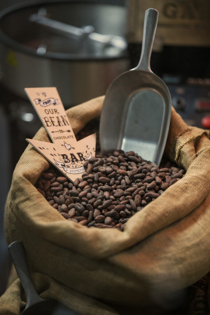 A burlap sack filled with organic cocoa beans with a metal scoop and chocolate labels.